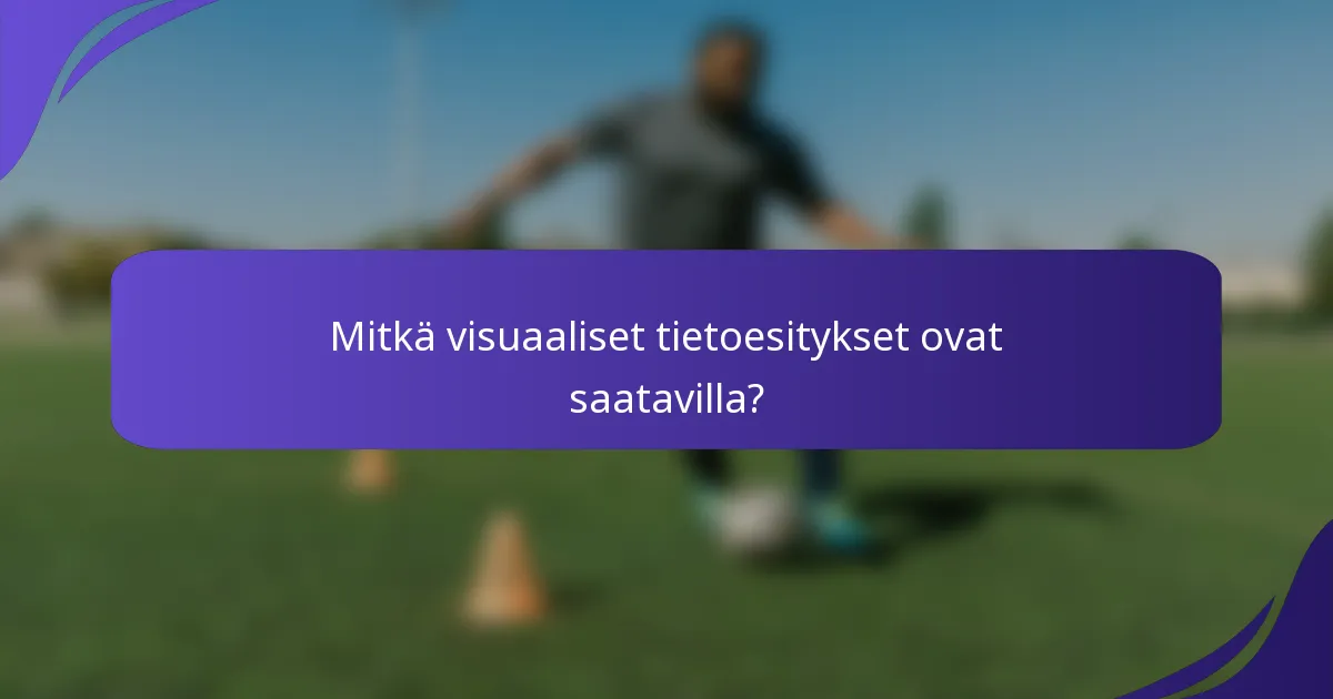 Mitkä visuaaliset tietoesitykset ovat saatavilla?